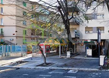 Commercial Premises / Showrooms for Rent in Palermo