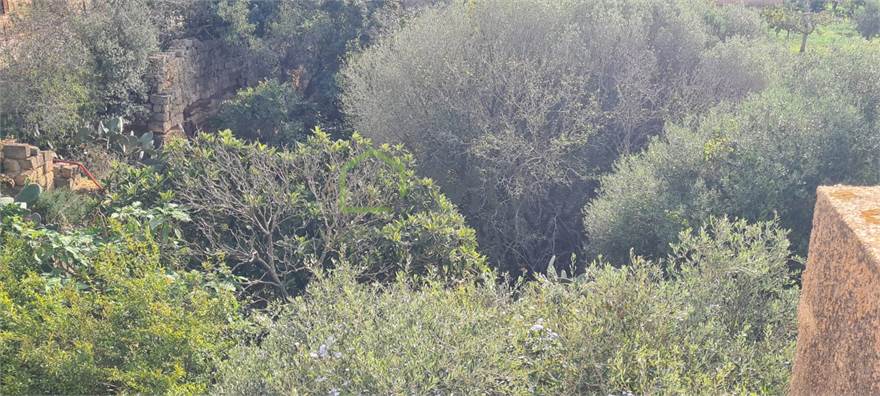 Photo 49