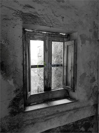 Photo 24